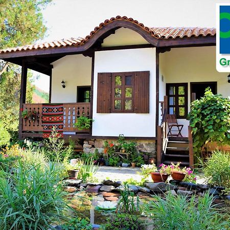 Golden Horn Guest House Iskrets 외부 사진