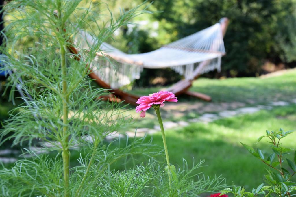 Golden Horn Guest House Iskrets 외부 사진