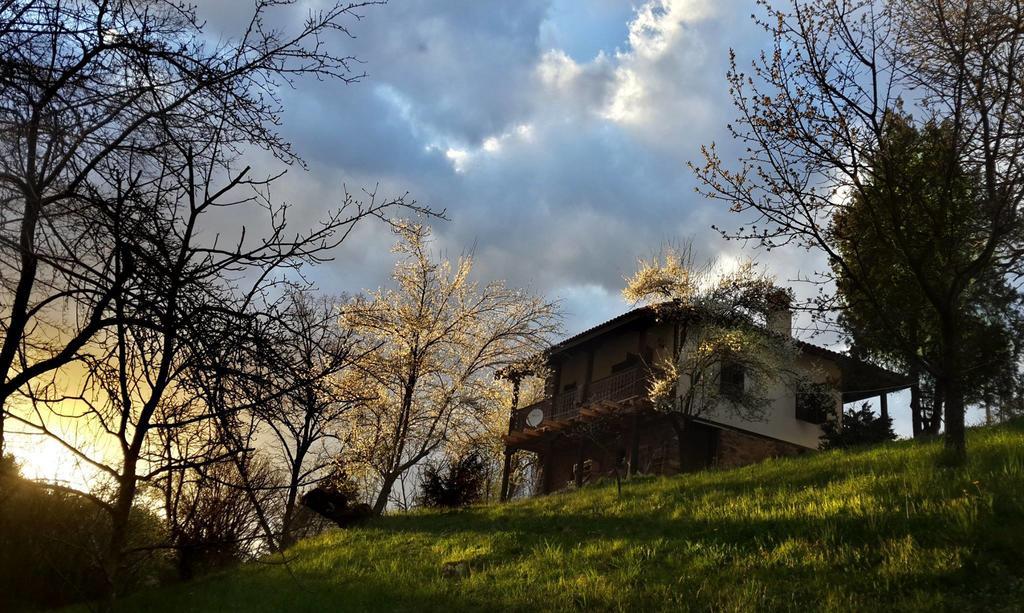 Golden Horn Guest House Iskrets 외부 사진