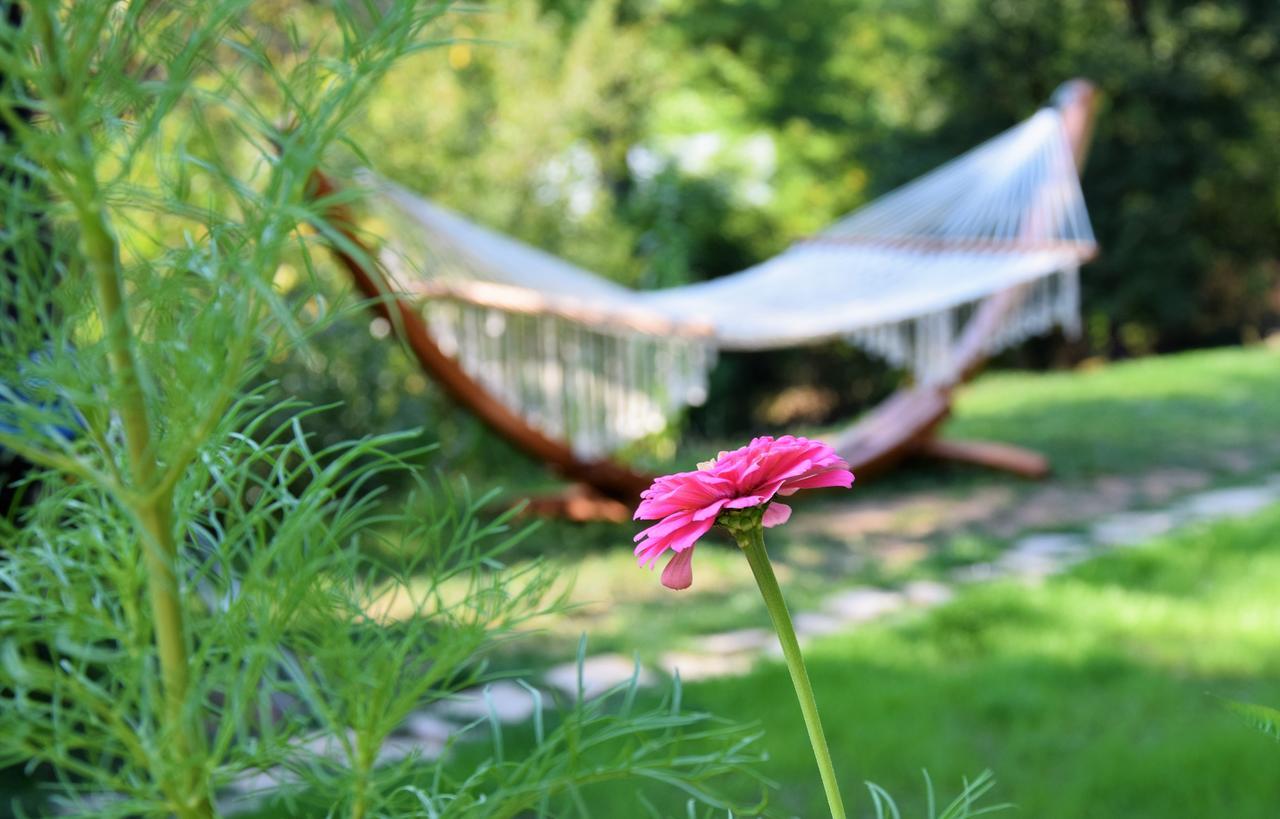 Golden Horn Guest House Iskrets 외부 사진